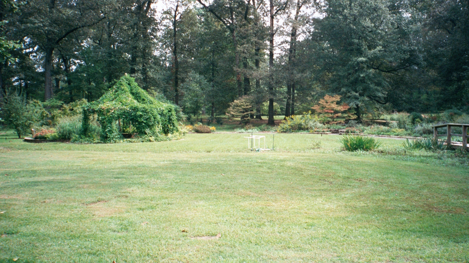 009_9.jpg